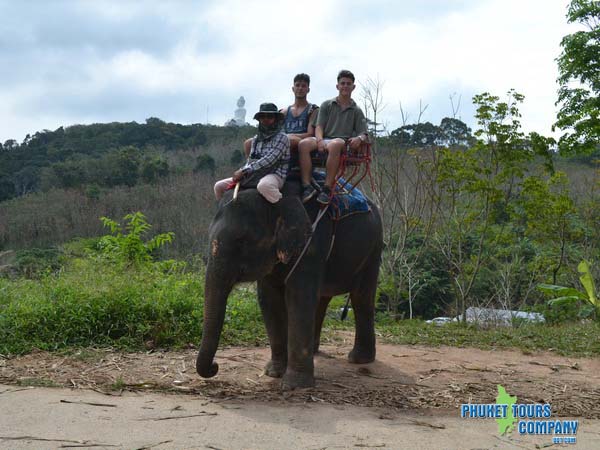 Phuket Elephant Trekking 1 Hour