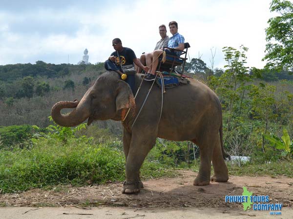 Phuket Elephant Trekking 1 Hour