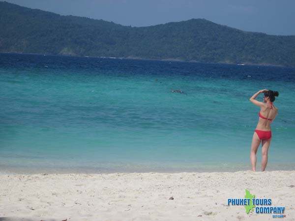 Coral Island Tour + Sea Walking + Parasailing