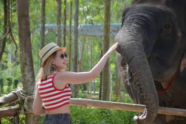 Phuket Elephant Care Park Afternoon Tour Program A