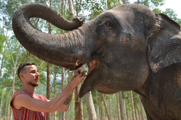 Phuket Elephant Care Park Afternoon Tour Program A