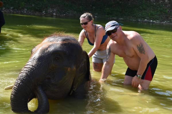 Phuket Elephant Care Park Morning Tour