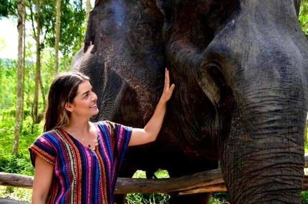 Phuket Elephant Care Park Afternoon Tour Program B