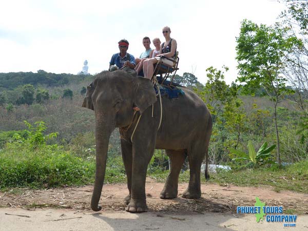 Phuket Elephant Trekking