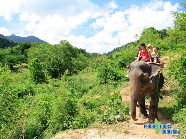 Phang Nga Elephant Trekking