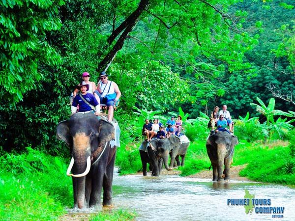 Phang Nga Elephant Trekking