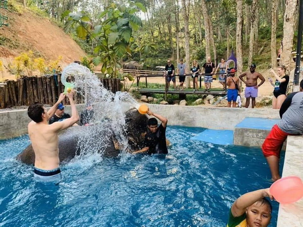 Phuket Elephant Bathing Tour Program A